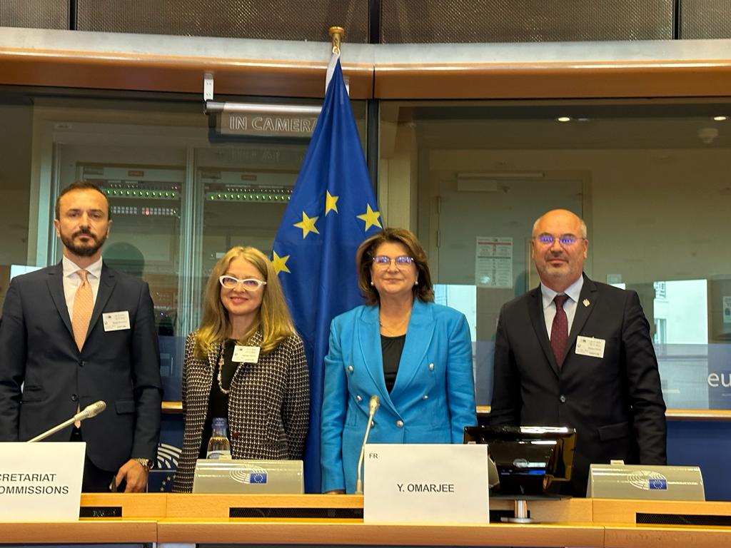 Participarea delegației Senatului României la reuniunea interparlamentară la nivel de comisii cu tema „Viitorul politicii de coeziune post 2027: oportunități, provocări și pași de urmat”.