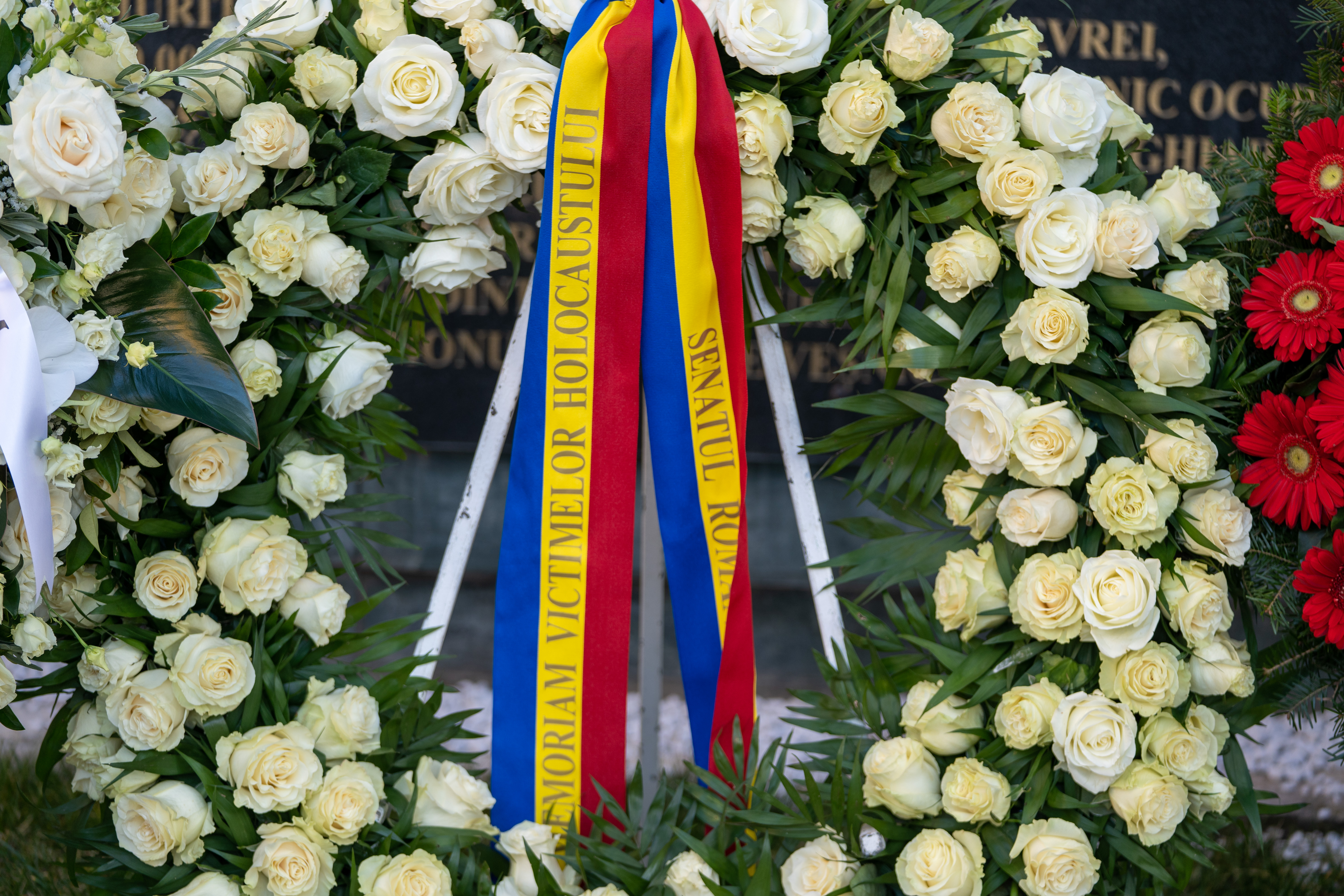 Mesajul președintelui Senatului, Ilie Bolojan, cu ocazia Zilei Internaționale de Comemorare a Victimelor Holocaustului