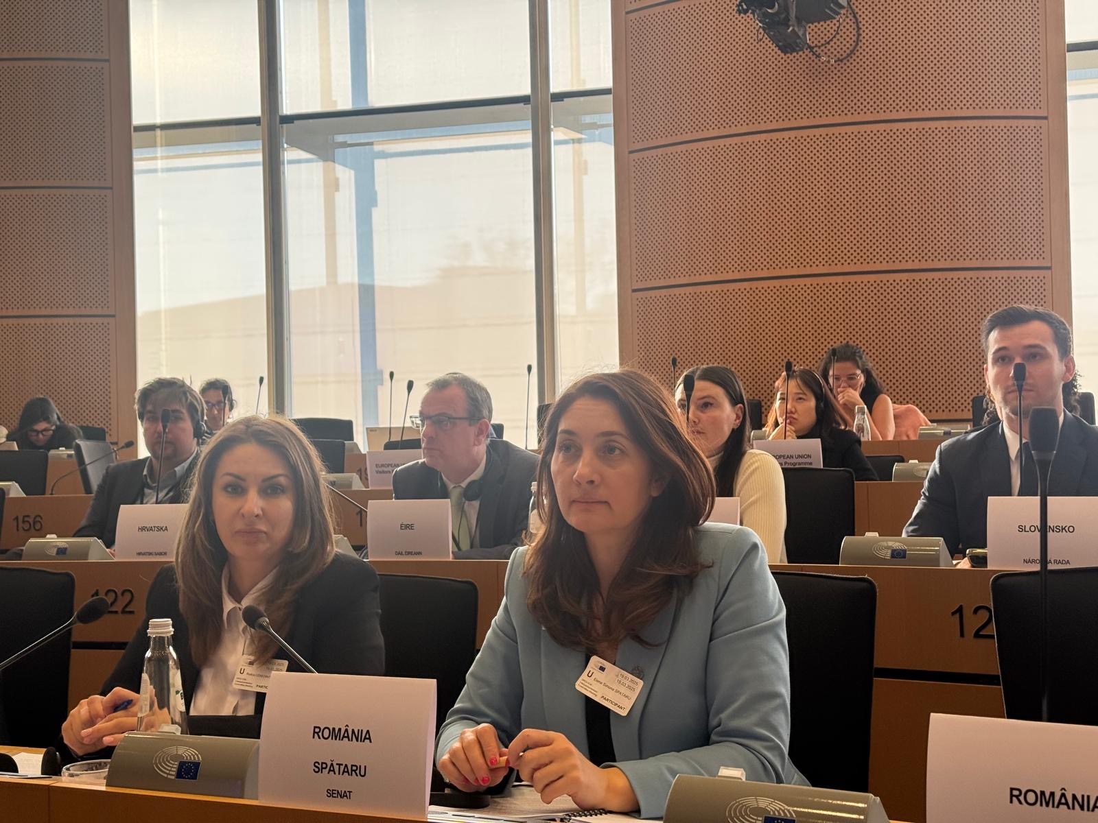 Participarea delegației Senatului la reuniunea interparlamentară, cu tema „Consolidarea rolului UE la ONU și schimbul de bune practici în domeniul drepturilor omului”