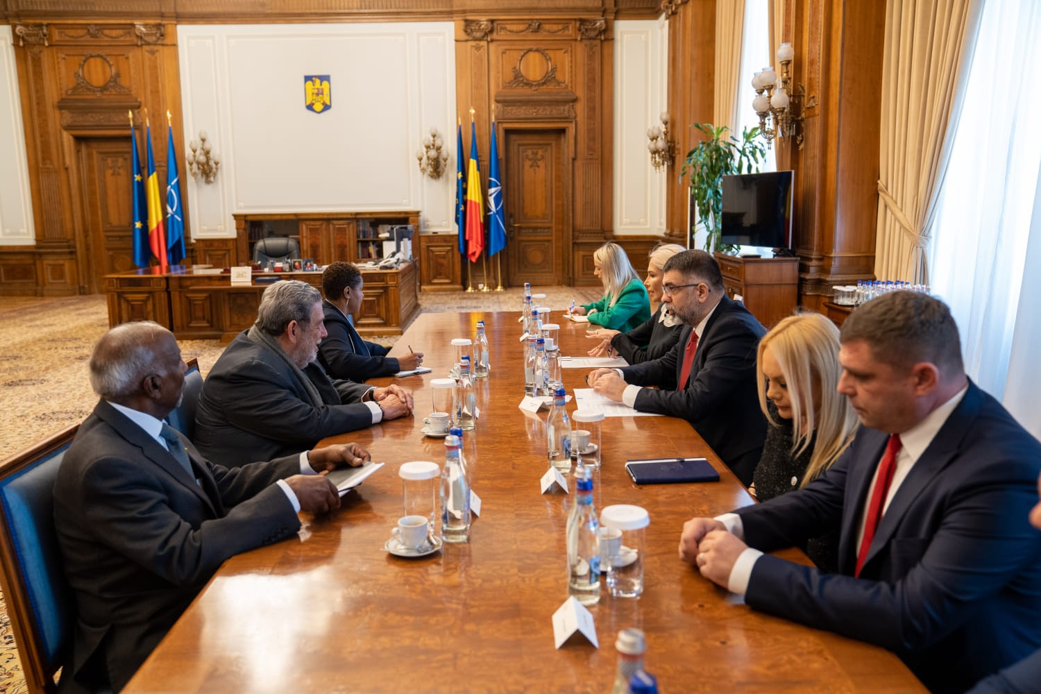 Întrevederea vicepreședintelui Senatului României, Robert Cazanciuc, cu Prim-ministrul Saint Vincent și Grenadine, Ralph Gonsalves