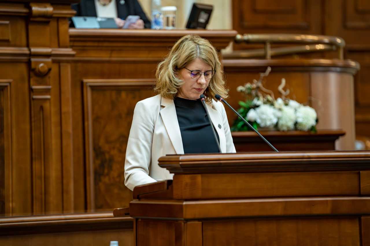 Numirea unui nou vicepreședinte al Consiliului de monitorizare pentru implementarea Convenției privind drepturile persoanelor cu dizabilități