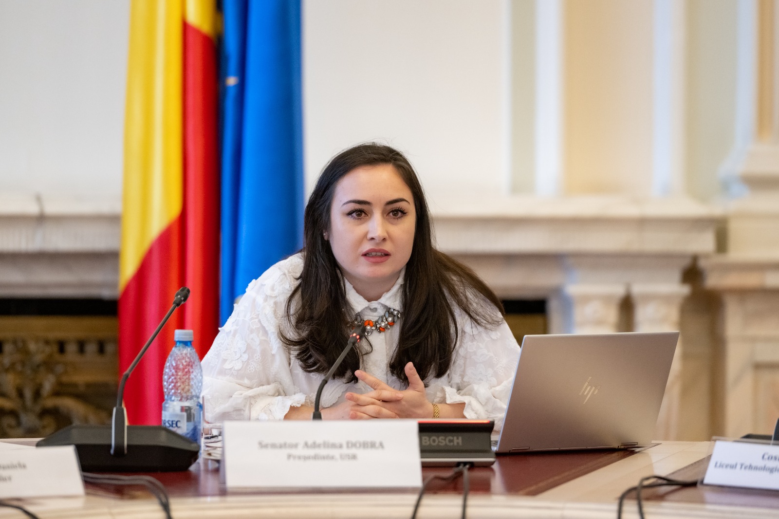 Viitorul învățământului economic liceal: oportunități și provocări în contextul noilor planuri-cadru