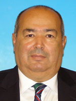 BURNEI Ion