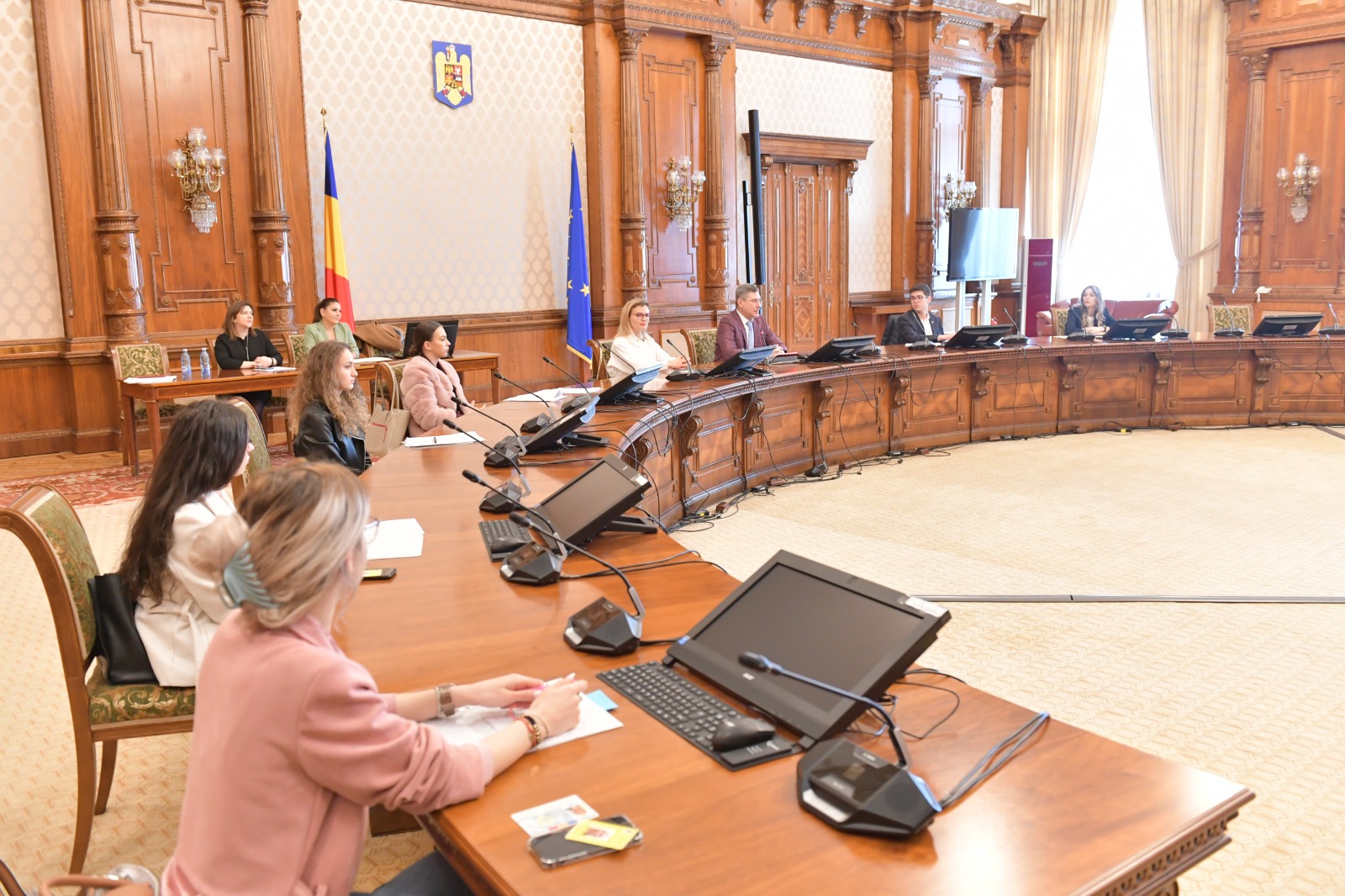 Internship la Senatul României